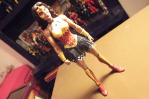 Warrior Wonder Woman (DC Universe) Custom Action Figure