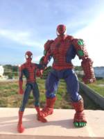 Spider-Hulk (Marvel Legends) Custom Action Figure