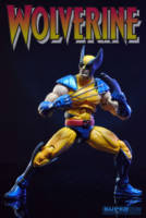Wolverine (Tiger Stripe) (Marvel Universe) Custom Action Figure
