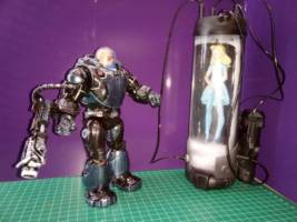 Mr Freeze and Nora (Batman) Custom Action Figure